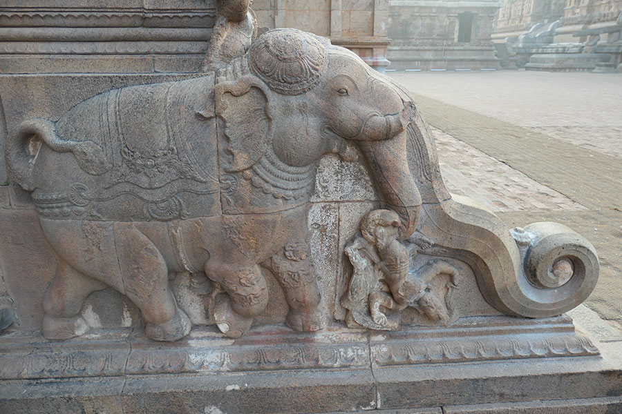 Photograph by Rakesh K Kaul